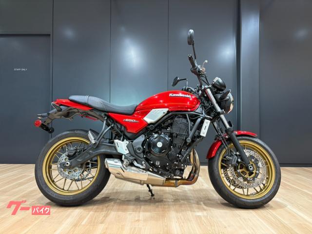 Ｚ６５０ＲＳ