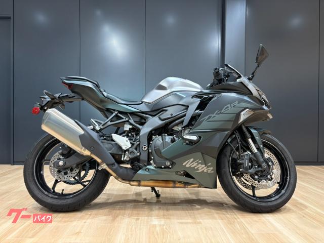 Ｎｉｎｊａ　ＺＸ−４Ｒ　ＳＥ