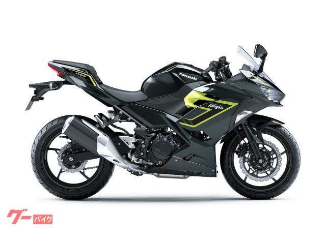 Ｎｉｎｊａ　２５０