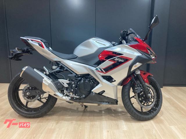 Ｎｉｎｊａ　２５０