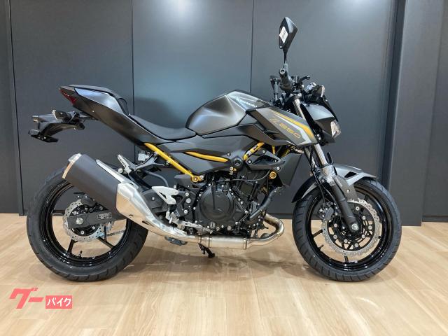 Ｚ２５０