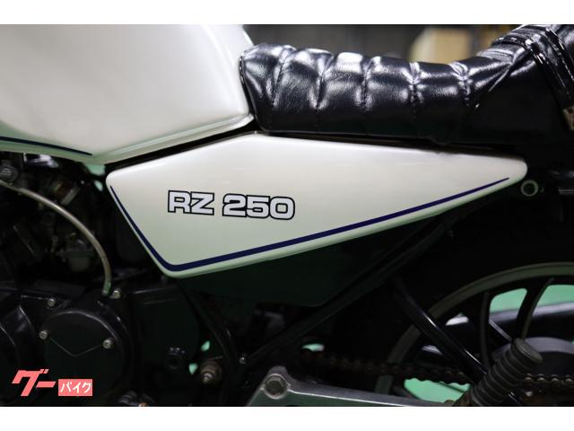 ヤマハ RZ250 メンテナンス済み 国内物 純正 ノーマル