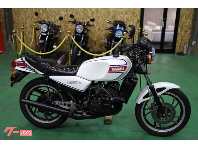 ヤマハ RZ250 メンテナンス済み 国内物 純正 ノーマル
