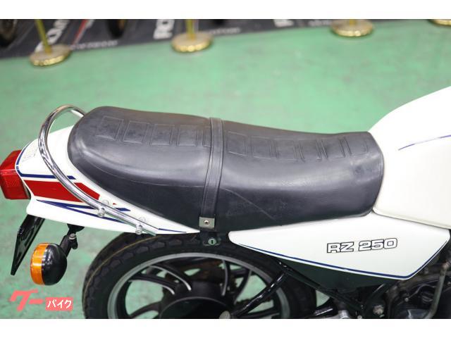 ヤマハ RZ250 純正オリジナルペイント フルノーマル 4L3 ヤマハ RZ250 純正オリジナルペイント フルノーマル 4L3