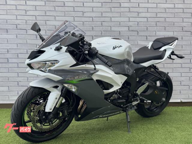 パヤ カワサキ Ninja ZX-6R フェンダーレス、スライダー