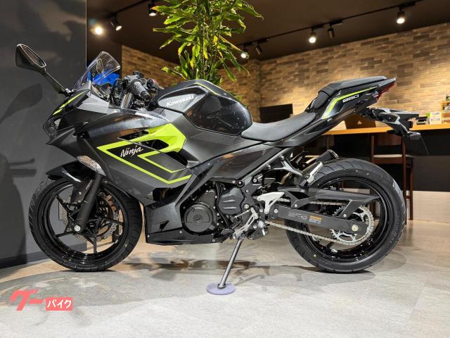 Kawasaki Ninja 250 — миниатюра 2