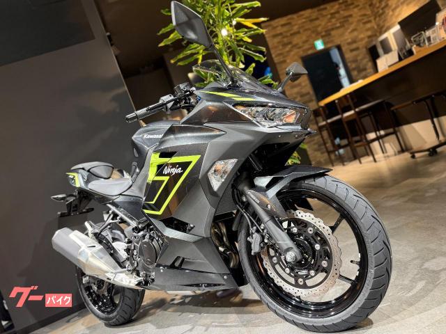 Kawasaki Ninja 250 — миниатюра 3