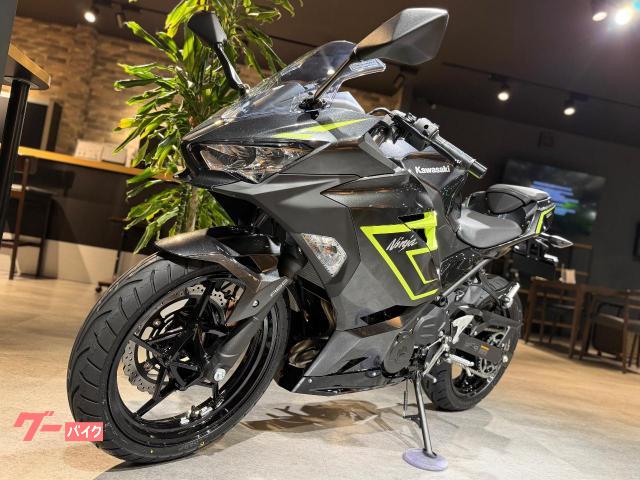 Kawasaki Ninja 250 — миниатюра 4