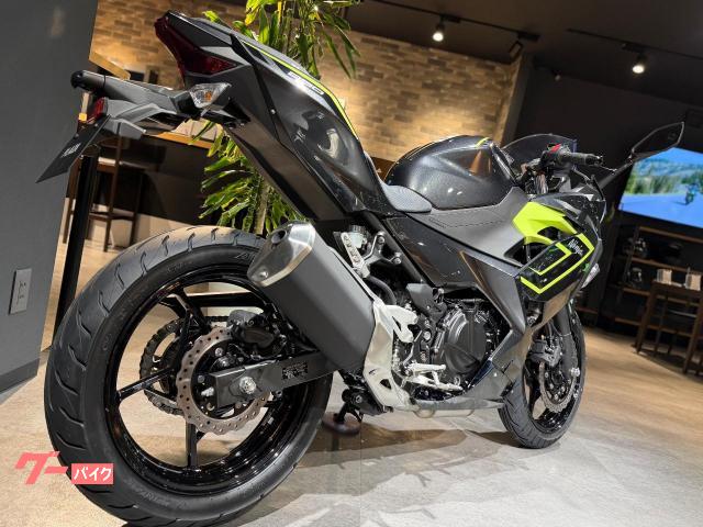 Kawasaki Ninja 250 — миниатюра 5