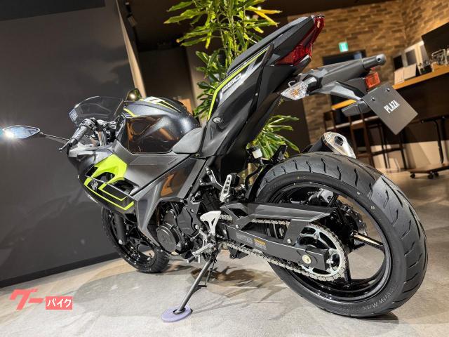 Kawasaki Ninja 250 — миниатюра 6