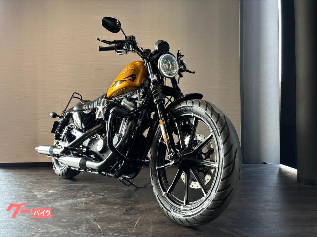 ＨＡＲＬＥＹ－ＤＡＶＩＤＳＯＮ ＸＬ８８３Ｎ アイアン バンス