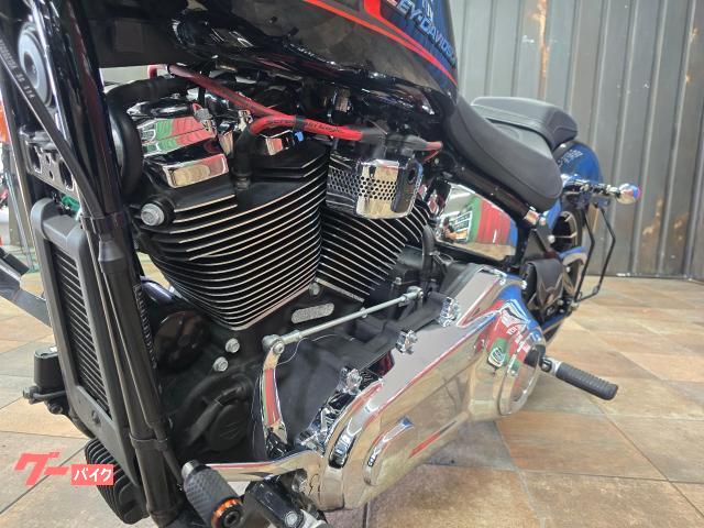 HARLEY－DAVIDSON FXBRソフテイルブレイク