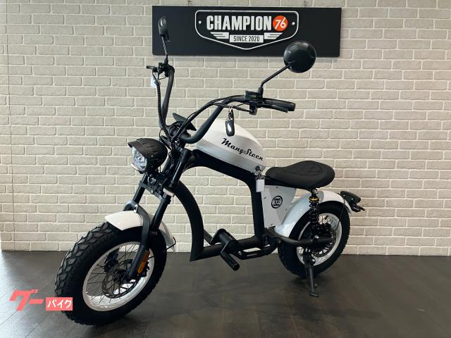 電動スクーター MANGOSTEEN FT02－MINI