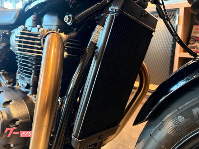 TRIUMPH 900 — миниатюра 5