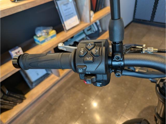 トライデント660 登録済み未使用車