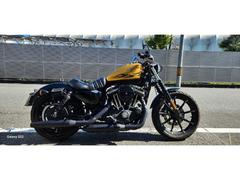 ＨＡＲＬＥＹ−ＤＡＶＩＤＳＯＮ　ＸＬ８８３Ｎ　アイアン　ＥＴＣ　限定ハードフレークカスタムタンク　一人乗り