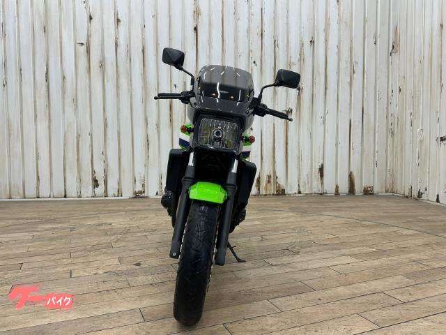 カワサキ ＺＲＸ１２００ ＤＡＥＧ ファイナルエディション カスタム