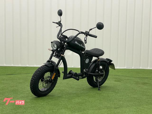 フタバ　 電動バイク用　MCR-2M 付　未使用 電動スクーター MANGOSTEEN FT02 MINI