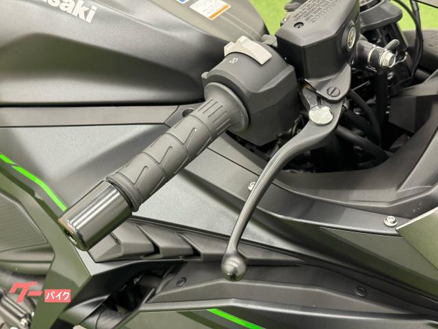カワサキ Ninja ZX－4R SE ETC2．0 純正スライダー