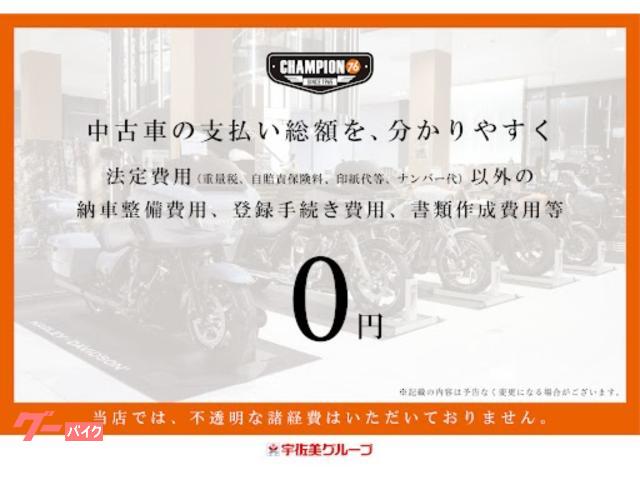 TRIUMPH T120 2 USB ABS ETC2.0 — миниатюра 3