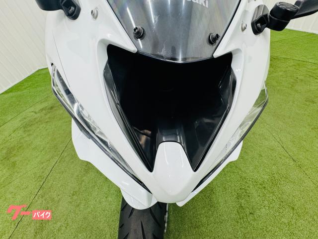 カワサキ Ninja ZX－6R STARエンジンガード ヒールガード