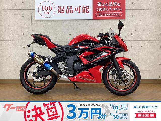 Ｎｉｎｊａ　２５０ＳＬ　２０１５年モデル　ＳＴＲＩＫＥＲ製マフラー　フェンダーレス　カスタム