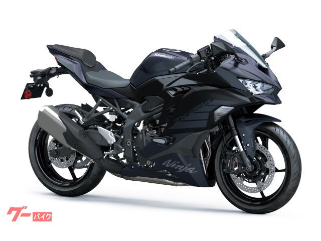 Ｎｉｎｊａ　ＺＸ−２５Ｒ　ＳＥ