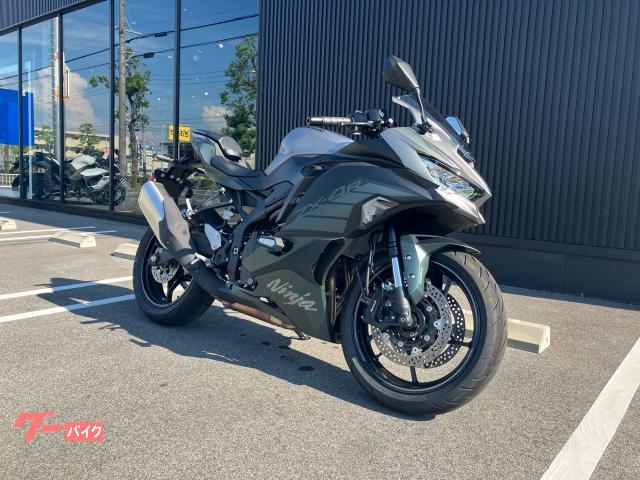 Ｎｉｎｊａ　ＺＸ−４Ｒ　ＳＥ