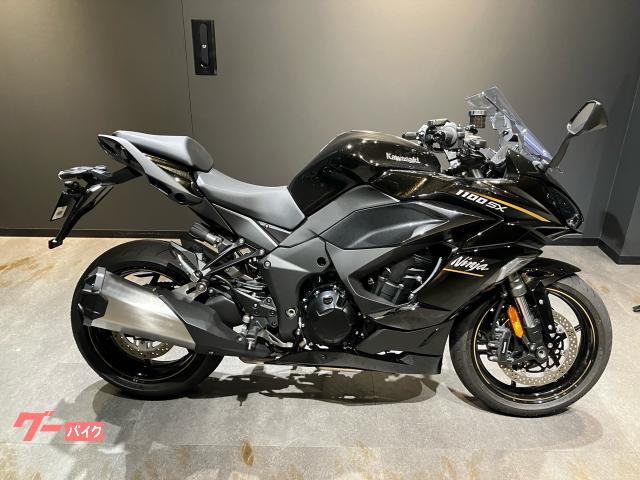 Ｎｉｎｊａ　１１００　ＳＸ