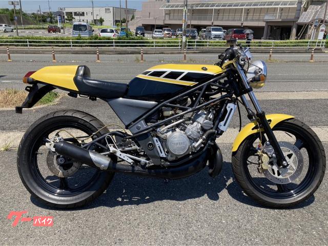 ＳＤＲ　　外装ペイント　ホイール　フレーム　スイングアーム等パウダーコート　バックステップ　ブレンボキャリパー