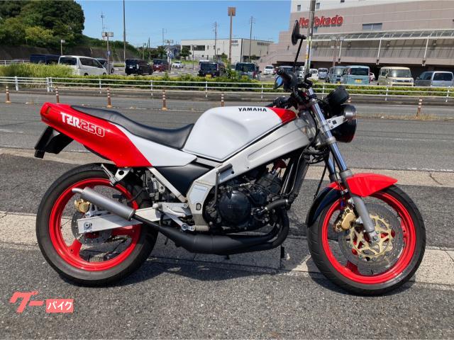 ＴＺＲ２５０　カウルレス仕様　外装新規塗装　アップハン　クロスチャンバー　ＮＳＲリヤサス　キャブＯＨ　シート張替え　ＵＳＢ　ＥＴＣ