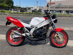 ヤマハ　ＴＺＲ２５０　カウルレス仕様　外装新規塗装　アップハン　クロスチャンバー　ＮＳＲリヤサス　キャブＯＨ　シート張替え　ＵＳＢ　ＥＴＣ