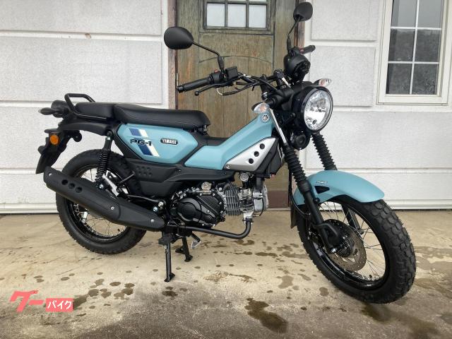 ＰＧ−１、ＡＢＳ、フルデジタルスピードメーター、シフトインジゲーター、４速ミッション