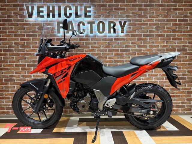 Suzuki V- 250SX ETC — миниатюра 3