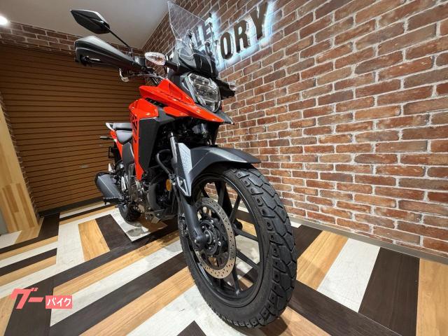 Suzuki V- 250SX ETC — миниатюра 4