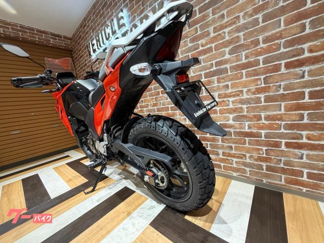 Suzuki V- 250SX ETC — миниатюра 6