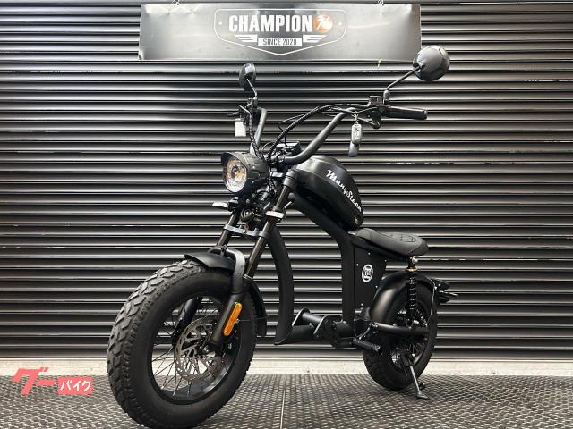 電動スクーター 電動スクーター マンゴスティン FT－02 MINI