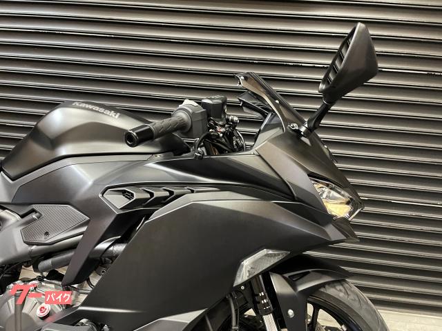 カワサキ Ninja ZX－4R SE ビートチタンフルエキ
