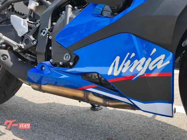 カワサキ Ninja ZX－4R SE ダブルアールズマフラー