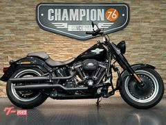 ＨＡＲＬＥＹ−ＤＡＶＩＤＳＯＮ　ＦＬＳＴＦＢＳ　ファットボーイＳ　スクリーミンイーグル製ツインカム１１０Ｂ　エンジンガード　ショートスクリーン