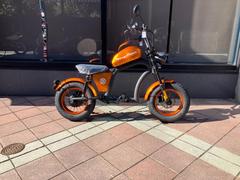 Ｍａｎｇｏｓｔｅｅｎ　ＦＴ−０２　ＭＩＮＩ　ノーマルタイプ　２０２４年モデル