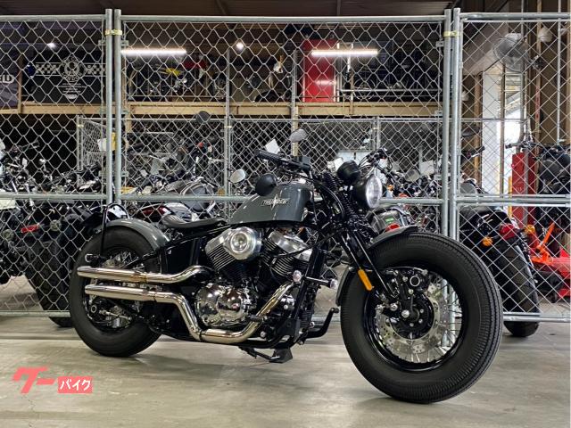 ソフテイル　サンダー２５０　ワンオーナー　アンダーミラー　ＣＲ１コーティング施工済み車両　Ｎ１３３Ｂ