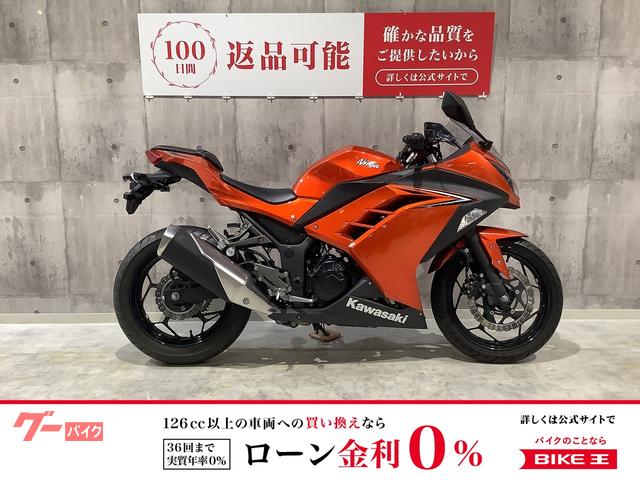 Ｎｉｎｊａ　２５０　２０１６年モデル　マルチバー装備