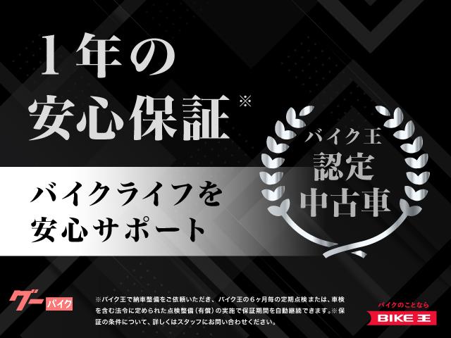 カワサキ Ninja 1000 2019年モデル マルチバー装備 ワン