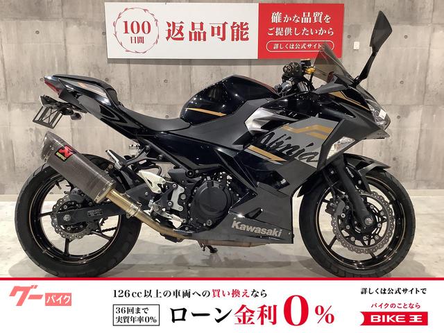 Ninja 250 2020年モデル レバーカスタム