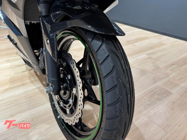 カワサキ Ninja 250 2024年モデル WRSスリップ