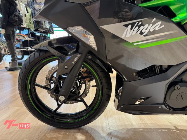 カワサキ Ninja 250 2024年モデル WRSスリップ