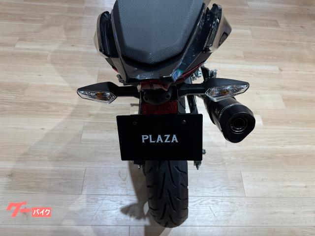 カワサキ Ninja 250 2024年モデル WRSスリップ