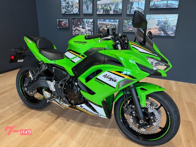 Kawasaki Ninja 650 KRT ETC — миниатюра 4