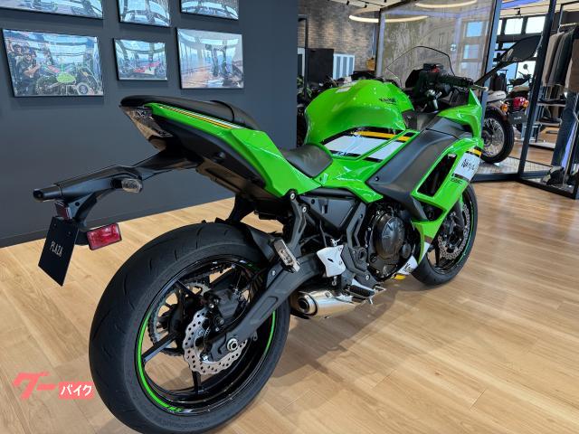 Kawasaki Ninja 650 KRT ETC — миниатюра 6